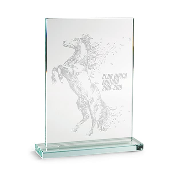 Galvano Cristal Rectangular 2350 - imagen 3