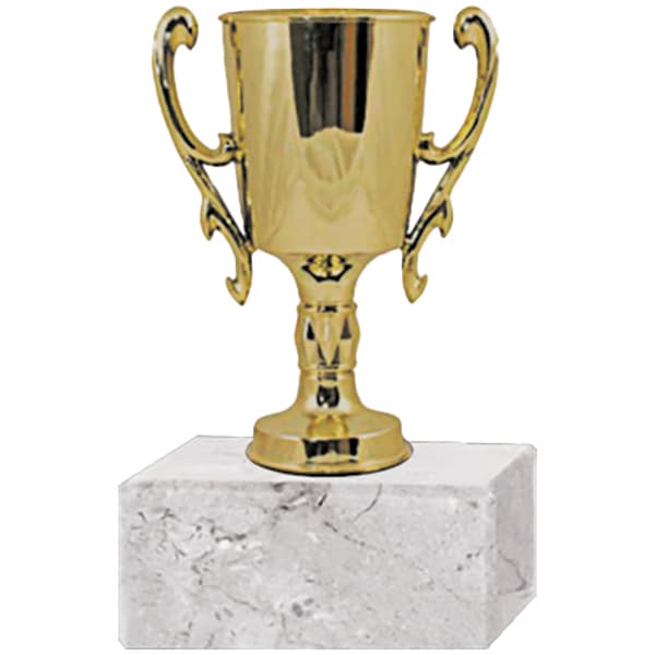 Trofeo Plástico Copa Chica  2