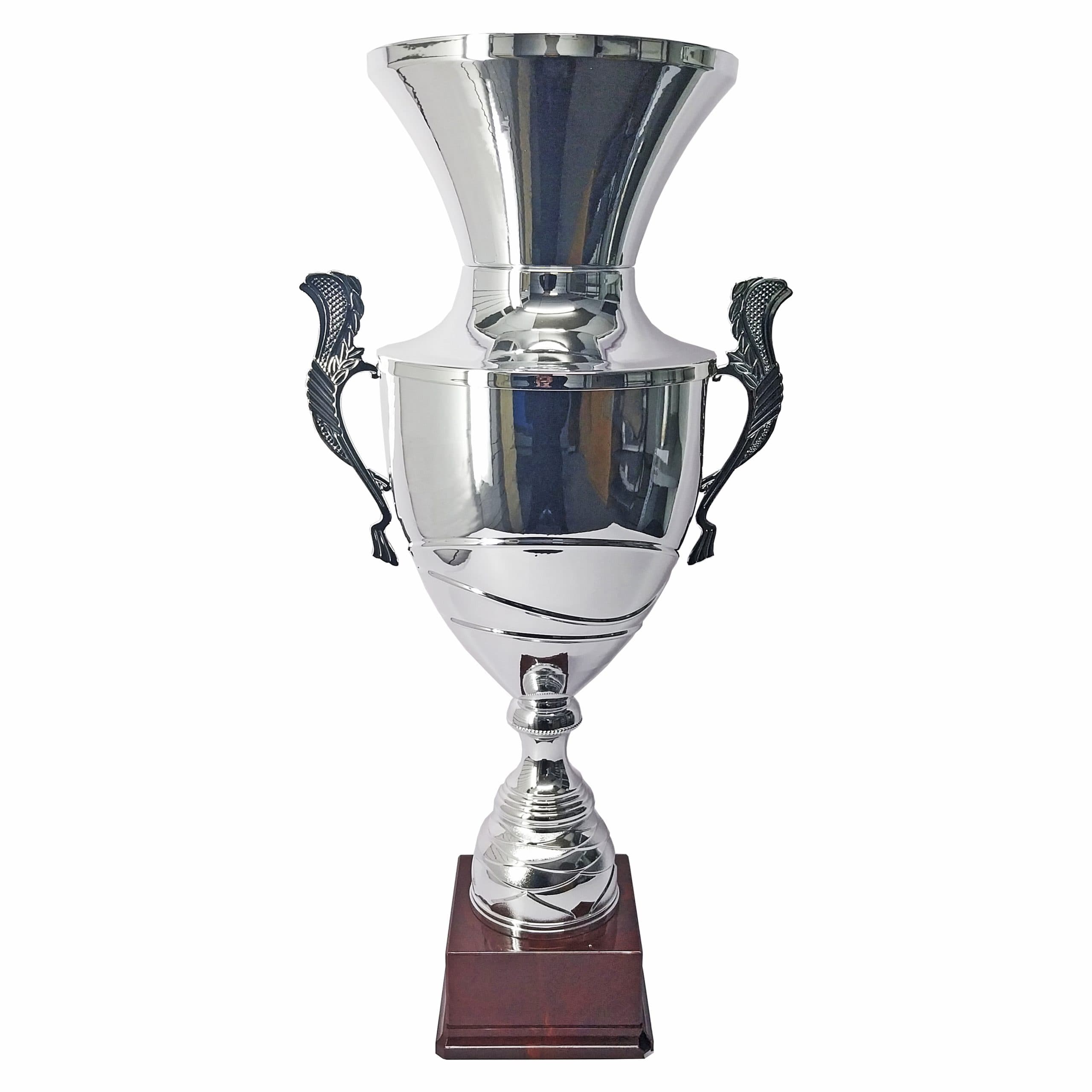 Copa CAS 100 - imagen 2