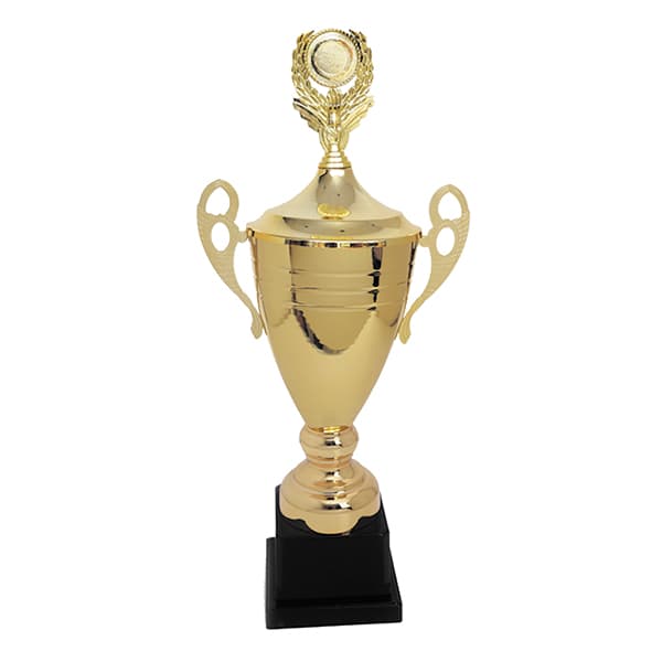 Copa CY 313 - imagen 2