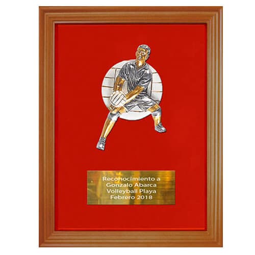 Galvano Madera Terciopelo - imagen 6