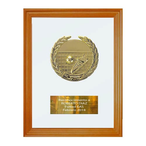 Galvano Vidrio - imagen 2