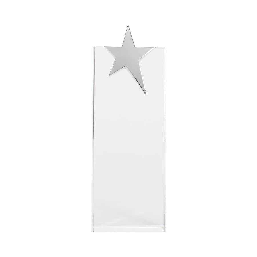 Trofeo Galvano de Cristal «Ledecky» - imagen 3