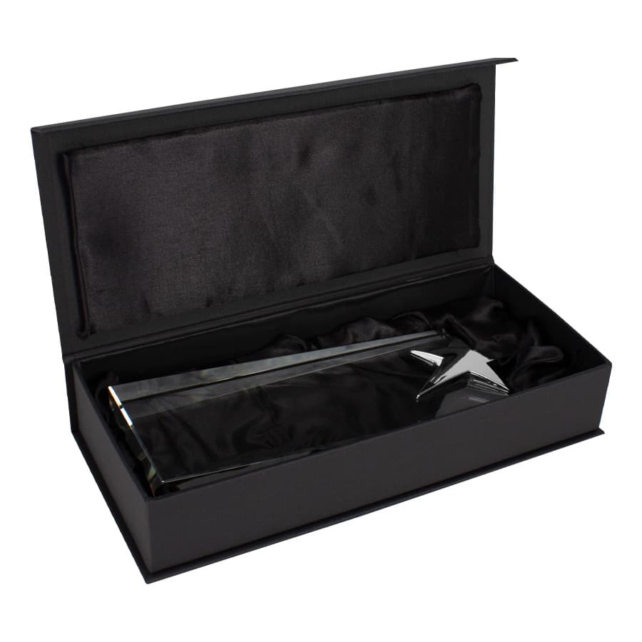 Trofeo Galvano de Cristal «Ledecky» - imagen 8