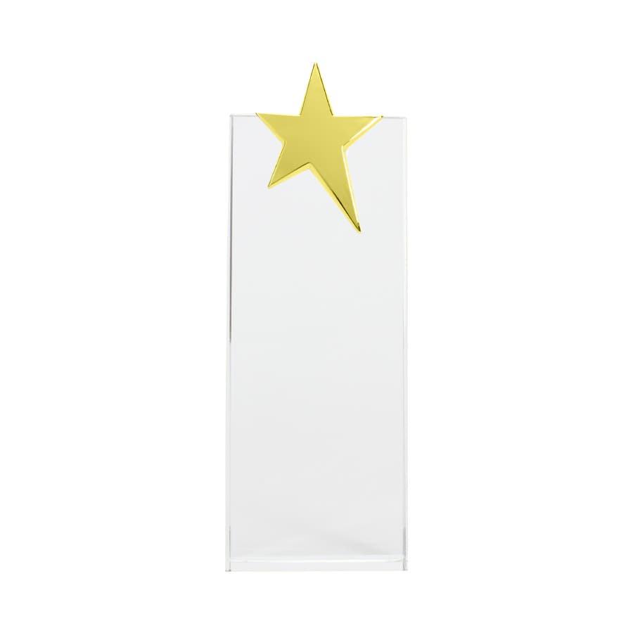 Trofeo Galvano de Cristal «Ledecky» - imagen 5