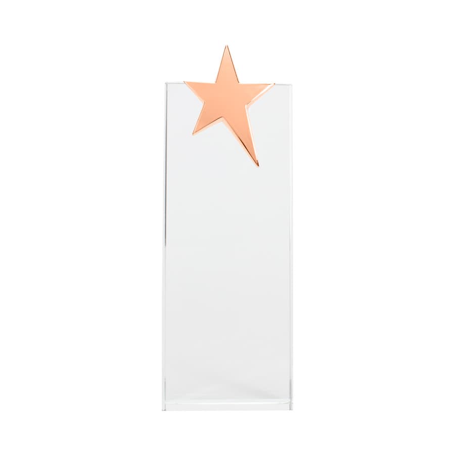 Trofeo Galvano de Cristal «Ledecky» - imagen 6