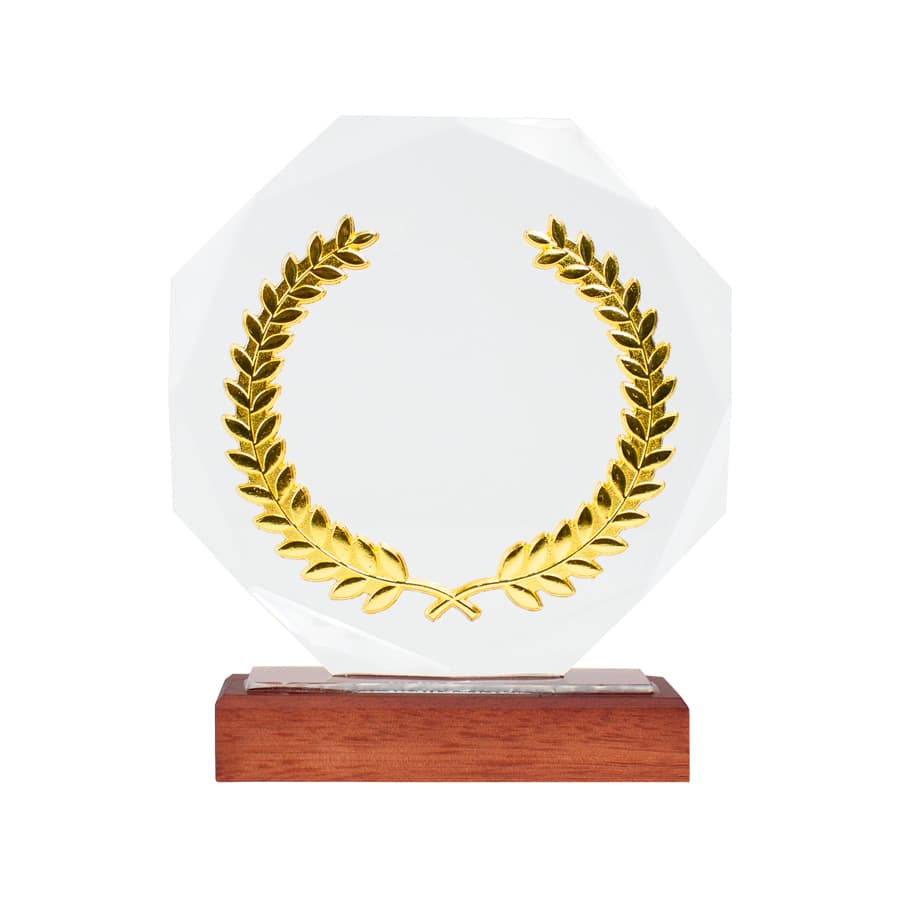 Trofeo Galvano de Madera, Cristal y Acero «Phelps» - imagen 3