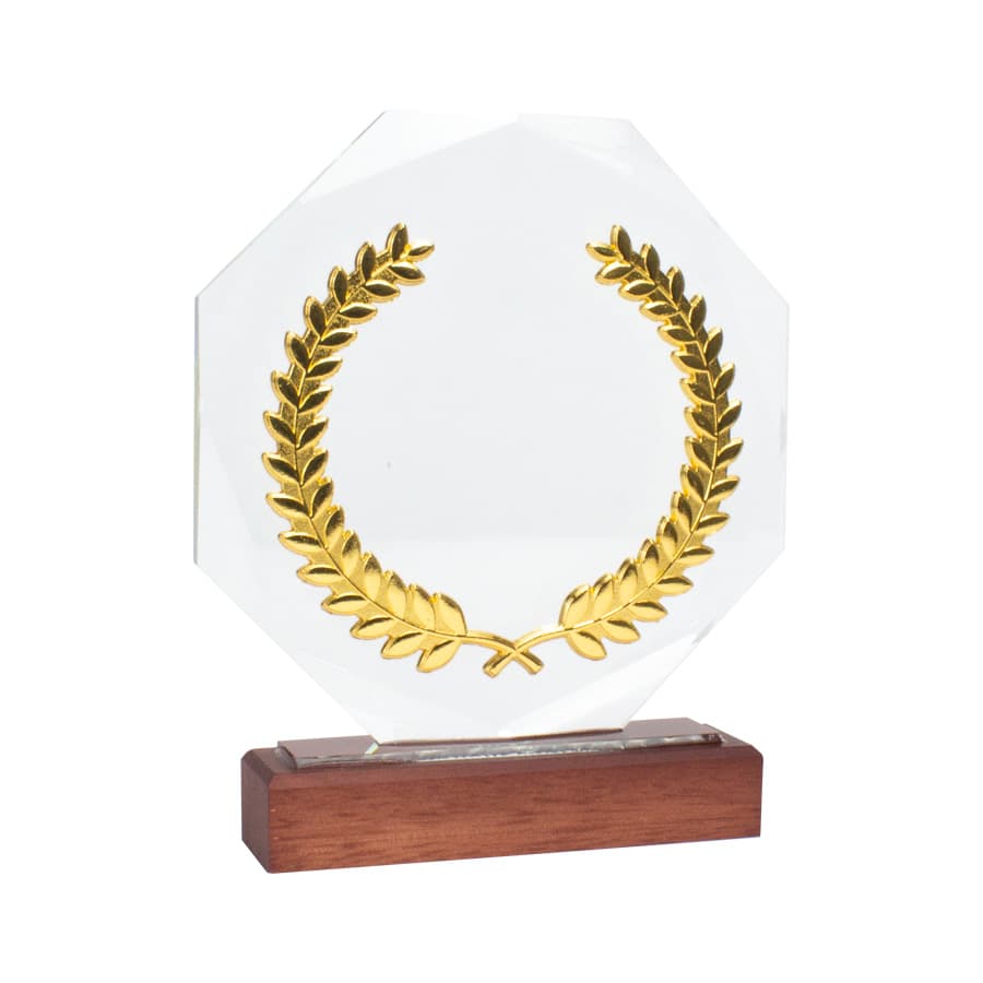 Trofeo Galvano de Madera, Cristal y Acero «Phelps» - imagen 2