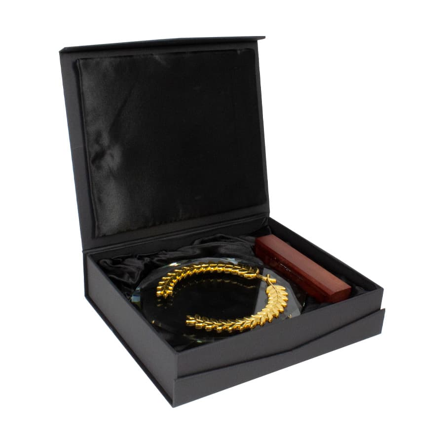 Trofeo Galvano de Madera, Cristal y Acero «Phelps» - imagen 4