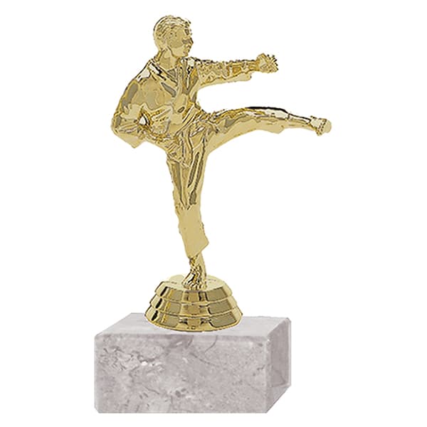 Trofeo Plástico Karate Masculino