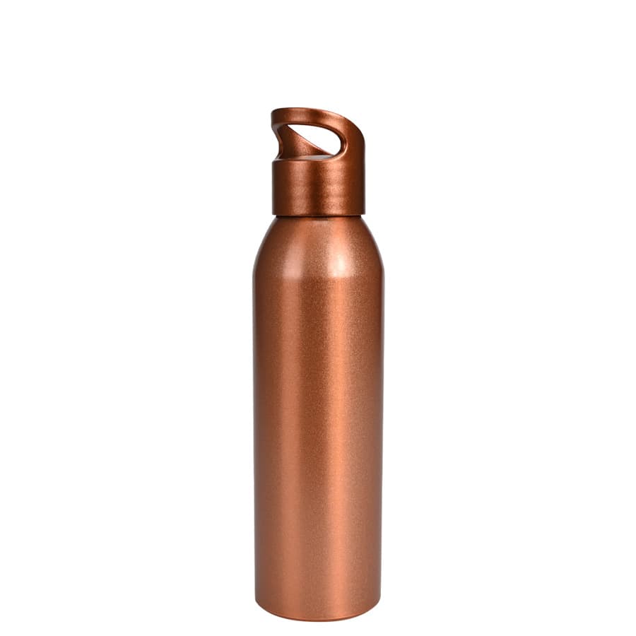 Botella metálica «AGLU» 650cc